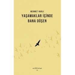 Yaşamaklar İçinde Bana Düşen