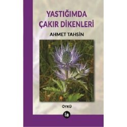 Yastığımda Çakır Dikenleri