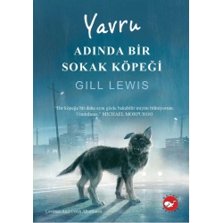 Yavru Adında Bir Sokak Köpeği