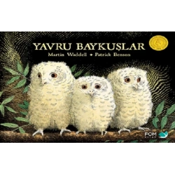 Yavru Baykuşlar
