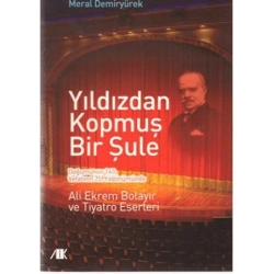 Yıldızdan Kopmuş Bir Şule