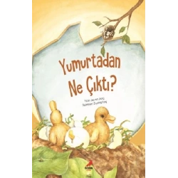 Yumurtadan Ne Çıktı?