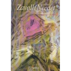 Zavallı Necdet