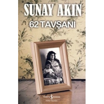 62 Tavşanı