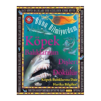 Köpek Balıklarının Dişleri Dökülür - Bunu Bilmiyordum - Köpek Balıklarına Dair Harika Bilgiler!