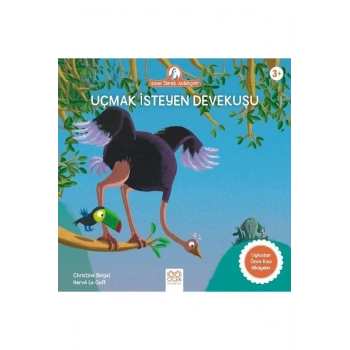 Uçmak İsteyen Devekuşu