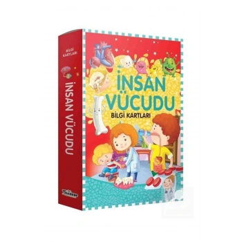 Bilgi Kartları - İnsan Vücudu