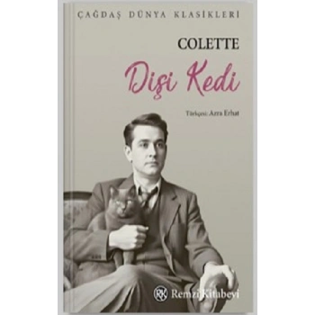 Dişi Kedi