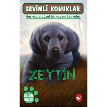 Sevimli Konuklar-3 Zeytin
