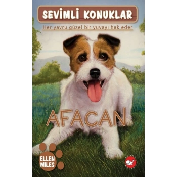Sevimli Konuklar-4 Afacan