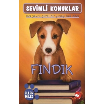 Sevimli Konuklar-5 Fındık