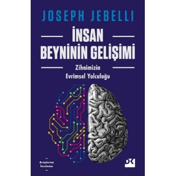İnsan Beyninin Gelişimi