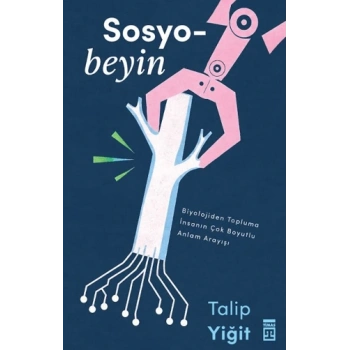 Sosyobeyin
