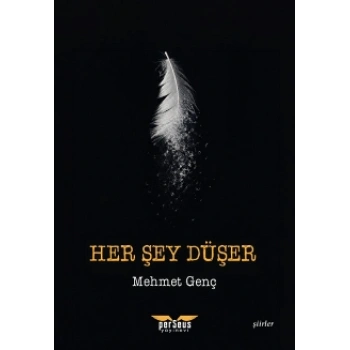 Her Şey Düşer