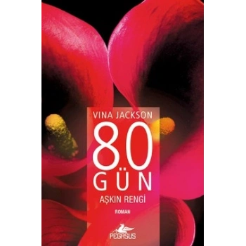 80 Gün - Aşkın Rengi