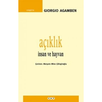 Açıklık