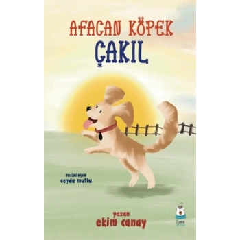 Afacan Köpek Çakıl