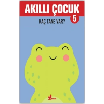 Akıllı Çocuk 5 – Kaç Tane Var?