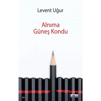 Alnıma Güneş Kondu