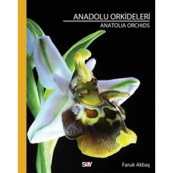 Anadolu Orkideleri