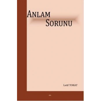 Anlam Sorunu