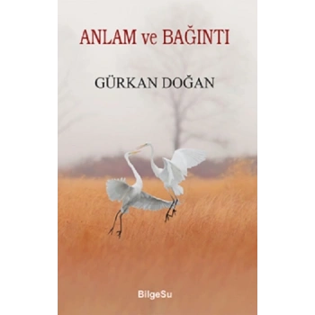 Anlam Ve Bağıntı