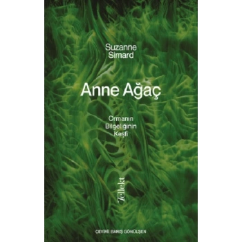 Anne Ağaç