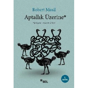 Aptallık Üzerine