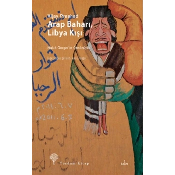 Arap Baharı, Libya Kışı