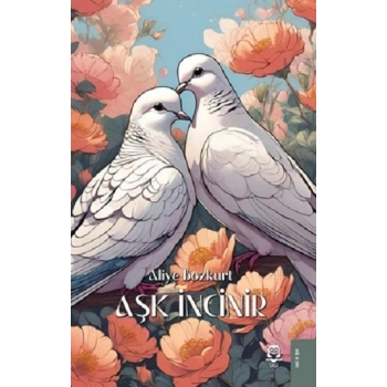 Aşk İncinir