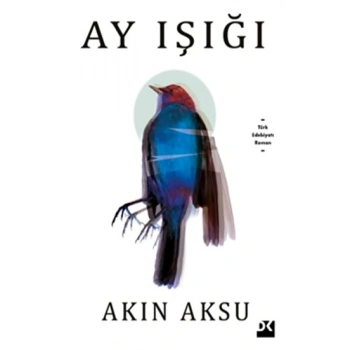 Ay Işığı