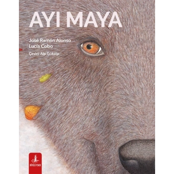 Ayı Maya