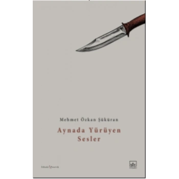 Aynada Yürüyen Sesler