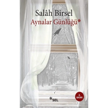 Aynalar Günlüğü