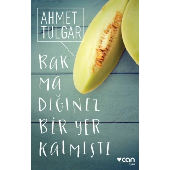 Bakmadığınız Bir Yer Kalmıştı