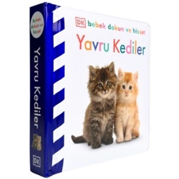Bebek Dokun Ve Hisset Serisi - Yavru Kediler (Ciltli)