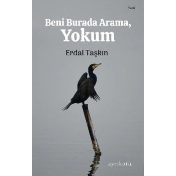Beni Burada Arama, Yokum