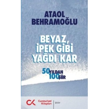 Beyaz İpek Gibi Yağdı Kar