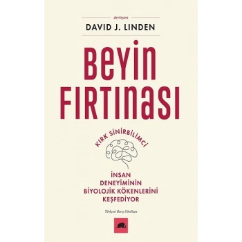 Beyin Fırtınası