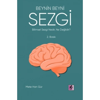Beynin Beyni Sezgi
