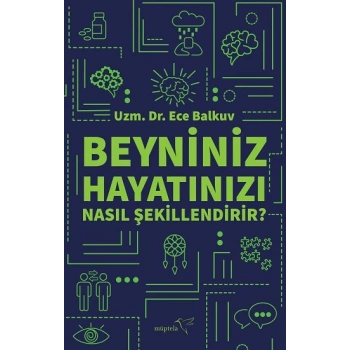 Beyniniz Hayatınızı Nasıl Şekillendirir?