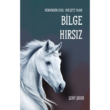 Bilge Hırsız