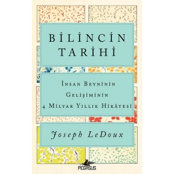 Bilincin Tarihi - İnsan Beyninin Gelişiminin 4 Milyar Yıllık Hikayesi