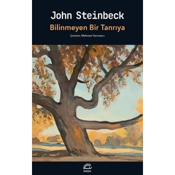 Bilinmeyen Bir Tanrıya