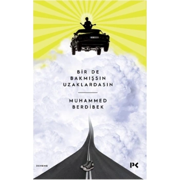Bir de Bakmışsın Uzaklardasın