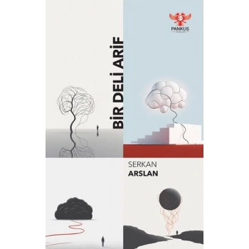 Bir Deli Arif