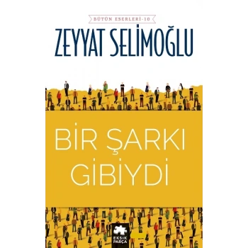 Bir Şarkı Gibiydi