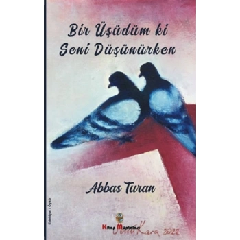 Bir Üşüdüm ki Seni Düşünürken