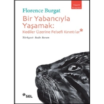Bir Yabancıyla Yaşamak