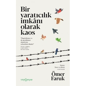 Bir Yaratıcılık İmkânı Olarak Kaos
